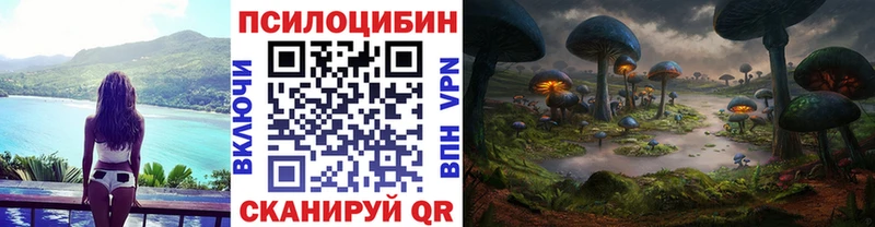 как найти наркотики  мега tor  Псилоцибиновые грибы Psilocybe  Верхоянск 